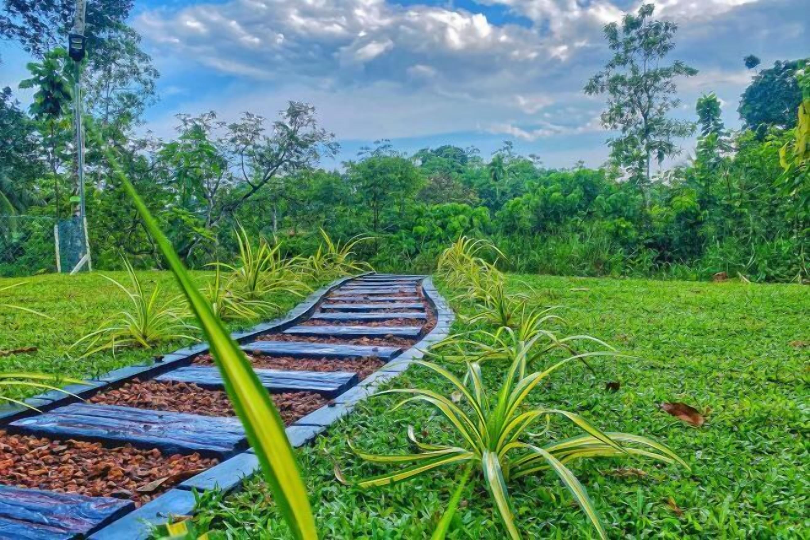 Terrein van de accommodatie