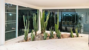 A modern interior with a glass partition, a cactus garden, and a marble floor.