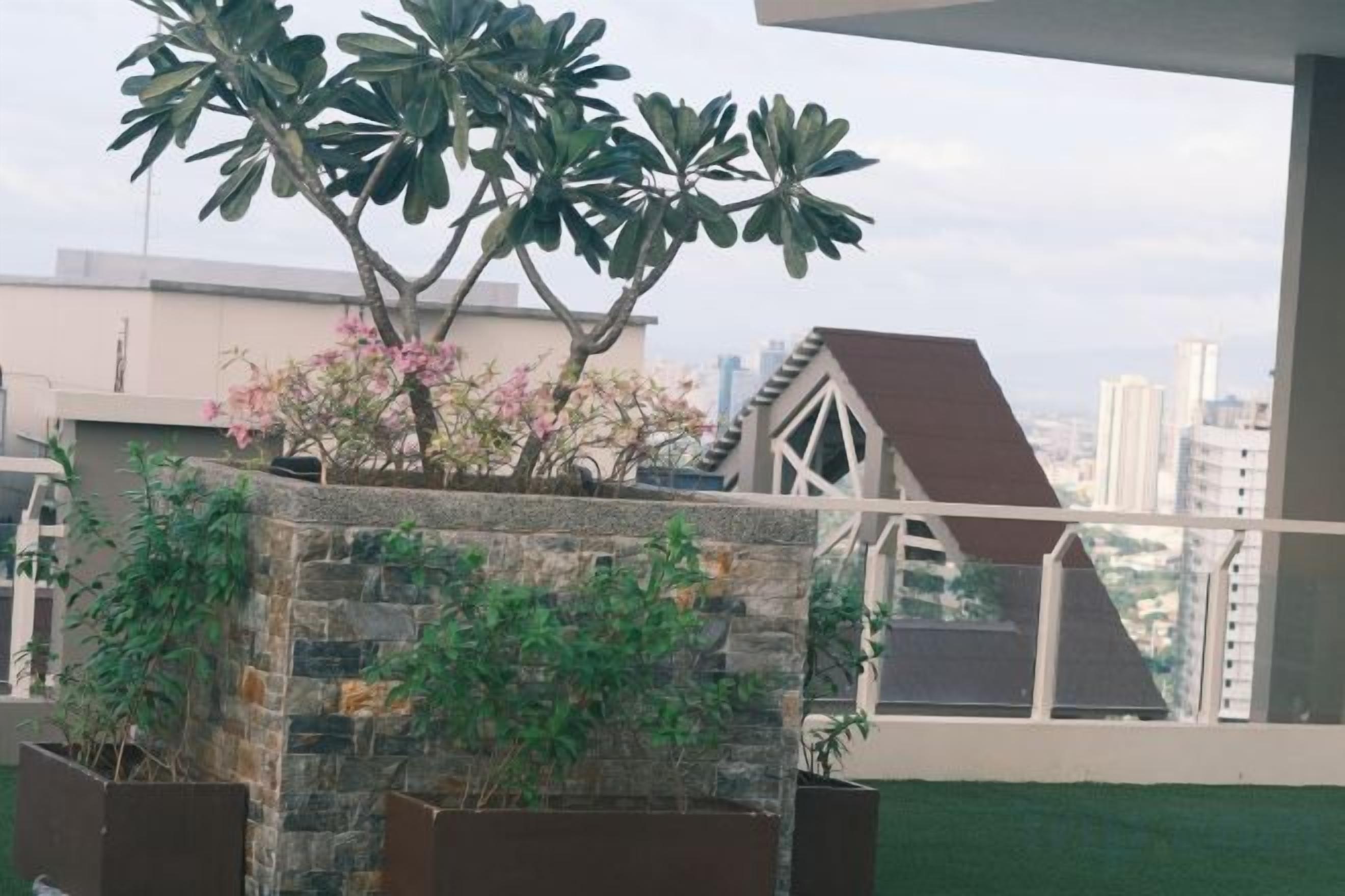 A rooftop garden with a stone planter, a tree, and a view of the cityscape.