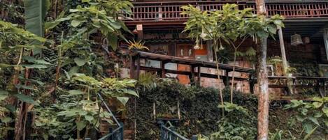 A multi-story building with a staircase surrounded by dense foliage.