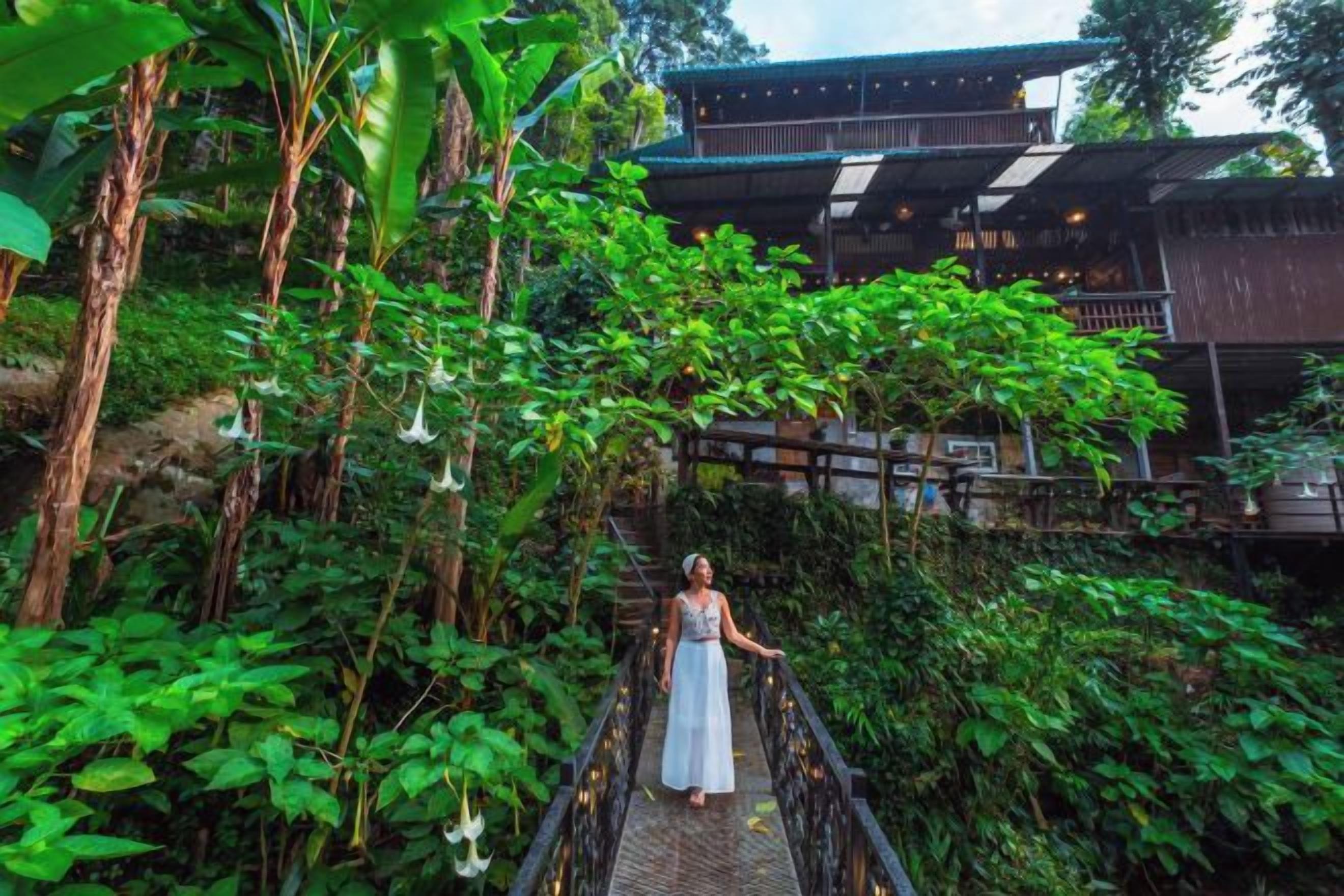 A person standing on a bridge surrounded by lush greenery, with a building in the background.
