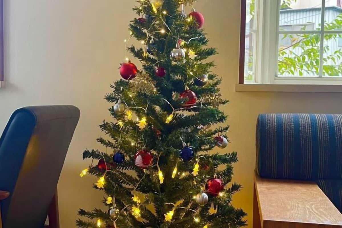 A Christmas tree with lights and ornaments in a room with a window and a blue-striped sofa.