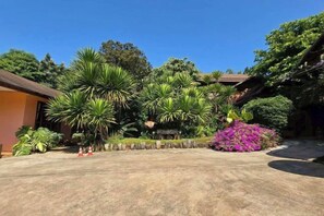 A building with a paved area in front, surrounded by various trees and plants. - Baan Yung Hill Resort (Chiang Rai)