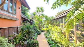 A narrow pathway flanked by lush greenery and a wooden building with large windows. - Baan Yung Hill Resort (Chiang Rai)