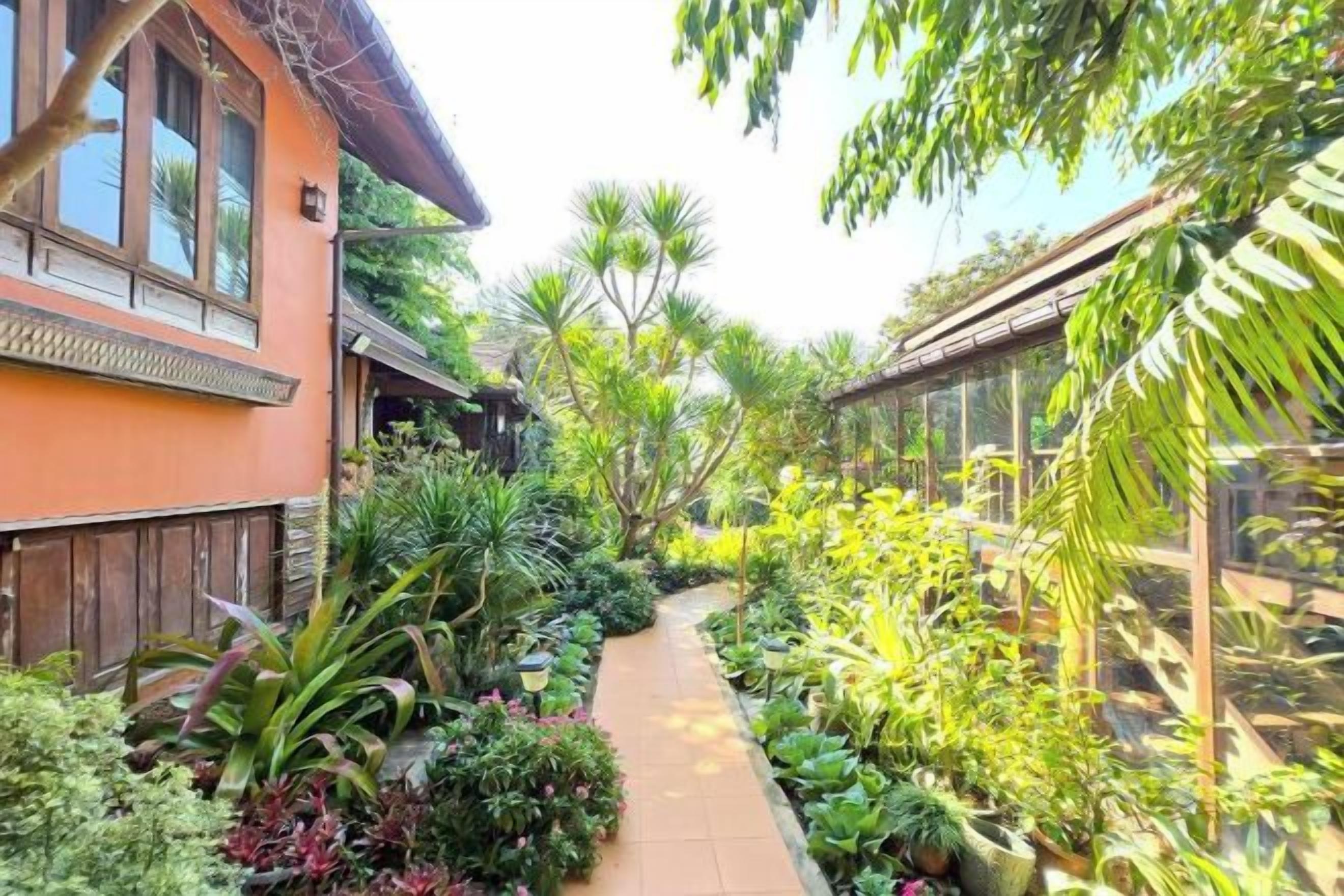 A pathway flanked by lush greenery and a building with large windows.
