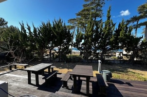 Una terraza al aire libre con mesas de picnic y un bote de basura, rodeada de árboles.