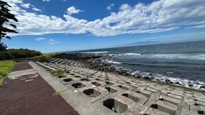 Un paseo marítimo con un muro de piedra frente al océano.