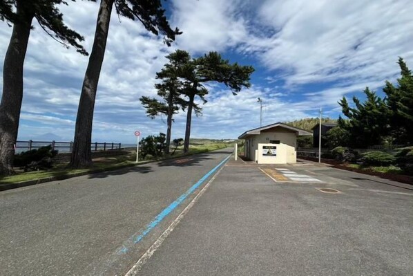 Property grounds - Tsubaki (Oshima)