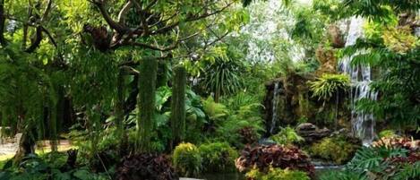 Servicios del alojamiento