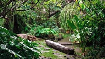 Servicio de la propiedad