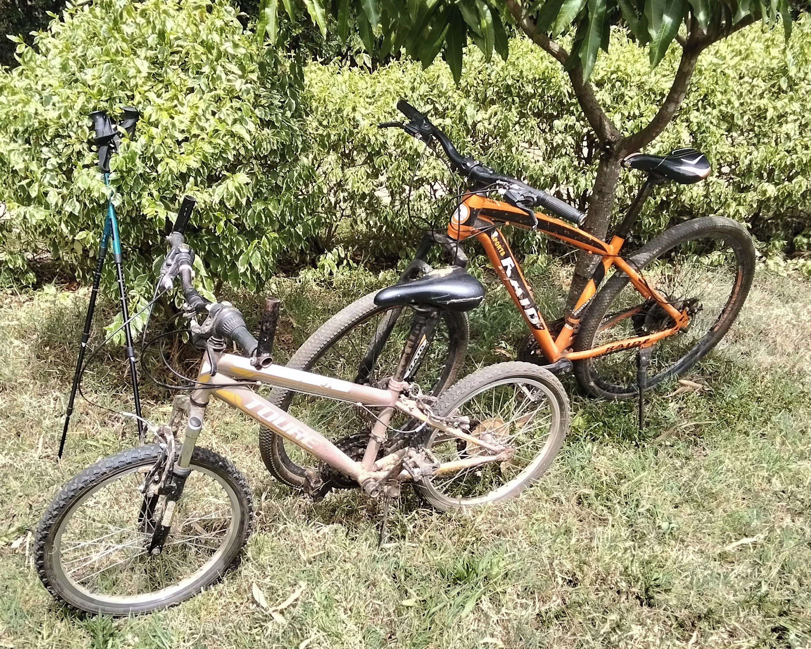 Two bicycles parked on grass with a hedge in the background.