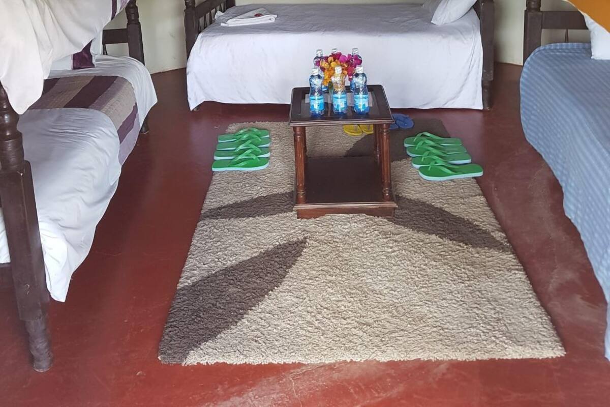 Blackout drapes, iron/ironing board (on request), WiFi (free)