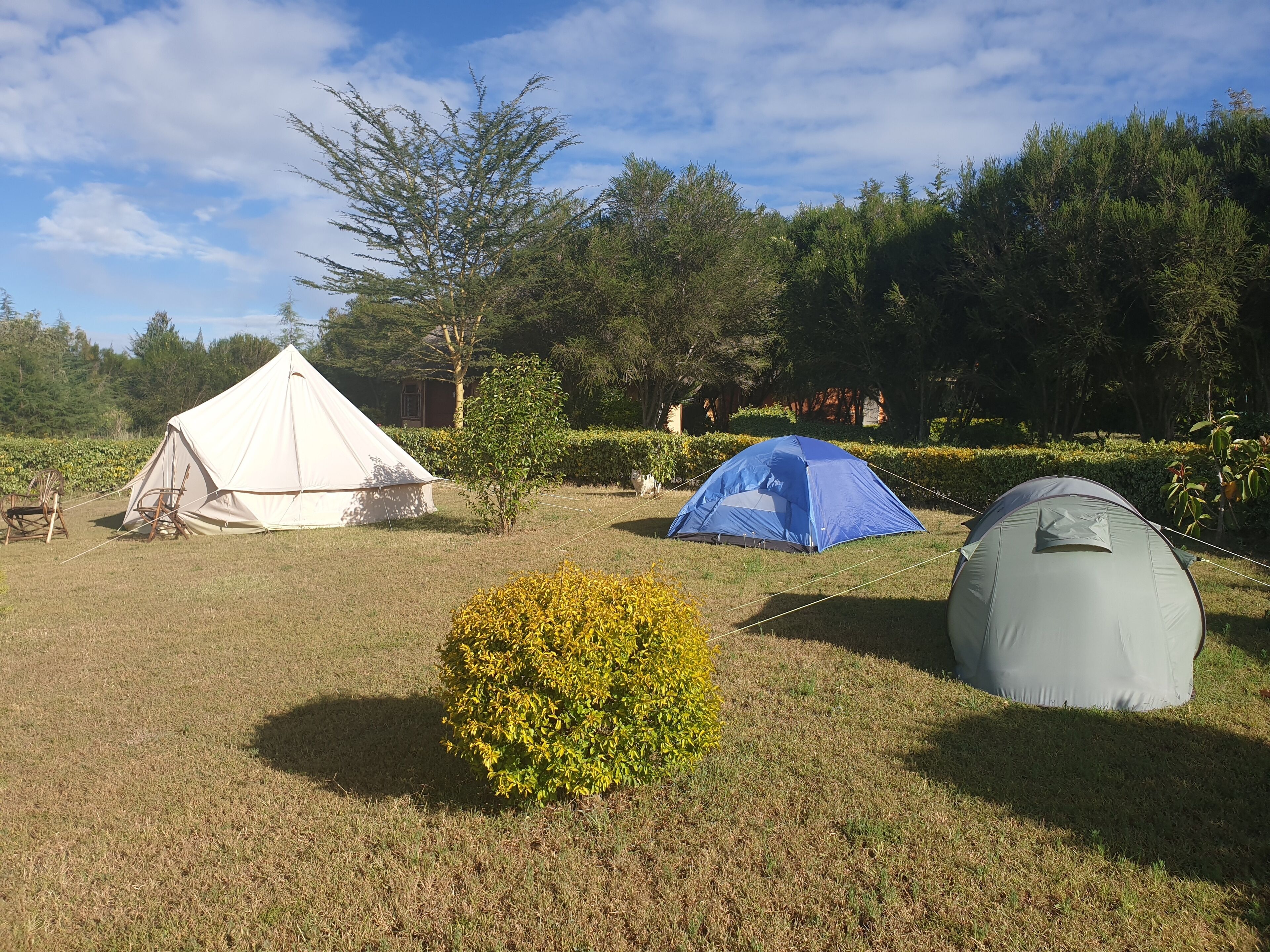 Tent | Blackout drapes, iron/ironing board, free WiFi