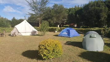 Zelt | Verdunkelungsvorhänge, Bügeleisen/Bügelbrett, kostenloses WLAN