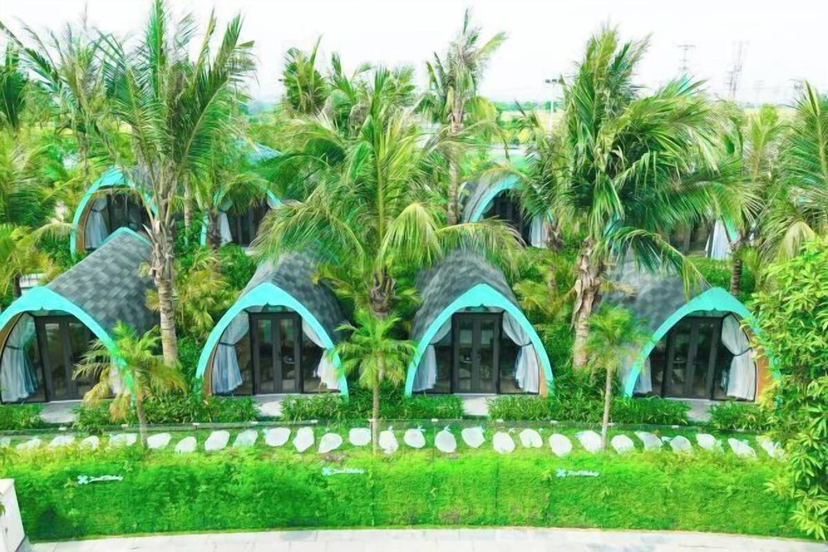 Una hilera de cabañas con forma de cúpula y techos curvos, rodeadas de abundante vegetación y palmeras.