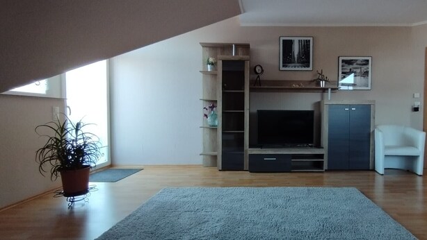 A living room with a TV, shelving, a potted plant, and a white chair. - Apartment 'Ferienwohnung Haak' with Private Terrace, Balcony and Wi-Fi (Dörpen)