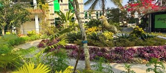 Mangrove Haven Resort
