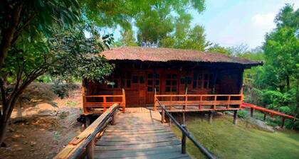 Mangrove Haven Resort