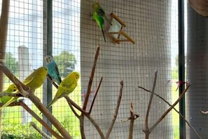 A birdcage with multiple branches and a grid-patterned background. - Skyinn Resort (Khok Samrong)
