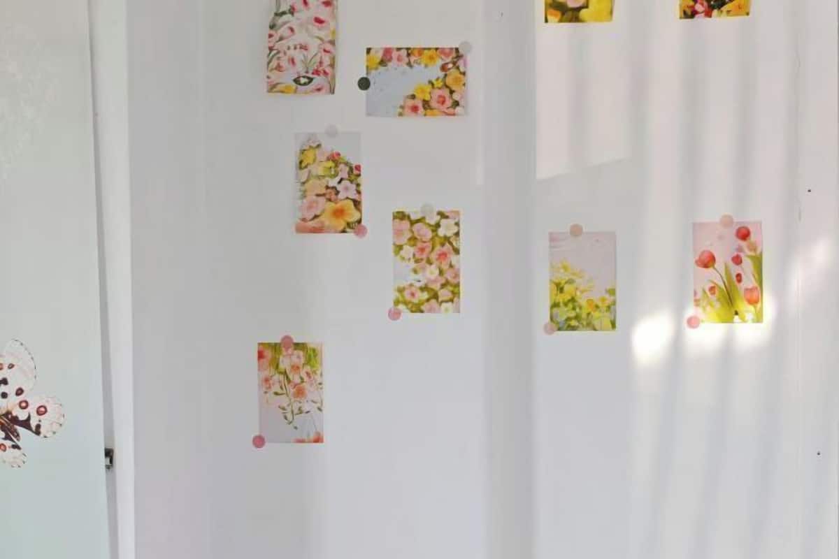 A wall with several small floral posters pinned at various heights.