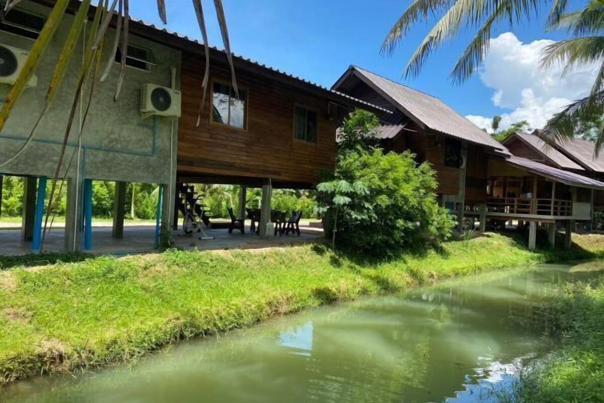 A wooden building with a thatched roof, a small pond, and outdoor seating.