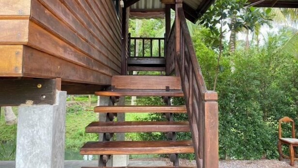 Una escalera de madera que conduce a un espacio exterior cubierto con vistas a abundante vegetación.