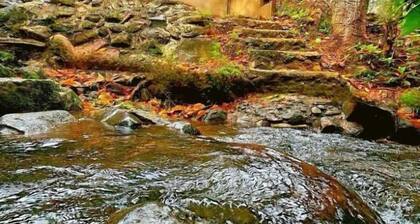 Tiny House in Dahilayan