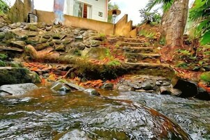 A stone staircase leading to a building, a stream with rocks, and a tree.