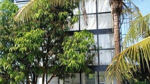 A modern building with large glass windows and a tree in front. - farm sam sook (Lamphun)