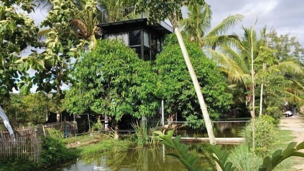 A tropical garden with a pond, lush greenery, and a small building structure. - farm sam sook (Lamphun)