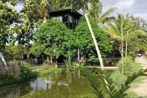 Un giardino tropicale con uno stagno, vegetazione rigogliosa e una piccola costruzione.