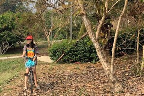 Ảnh chưa phân loại, 2 trong số 33 ảnh, nút