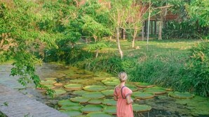 Eine Person steht an einem Teich mit Seerosenblättern.