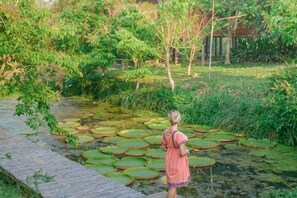 Eine Person steht an einem Teich mit Seerosenblättern.