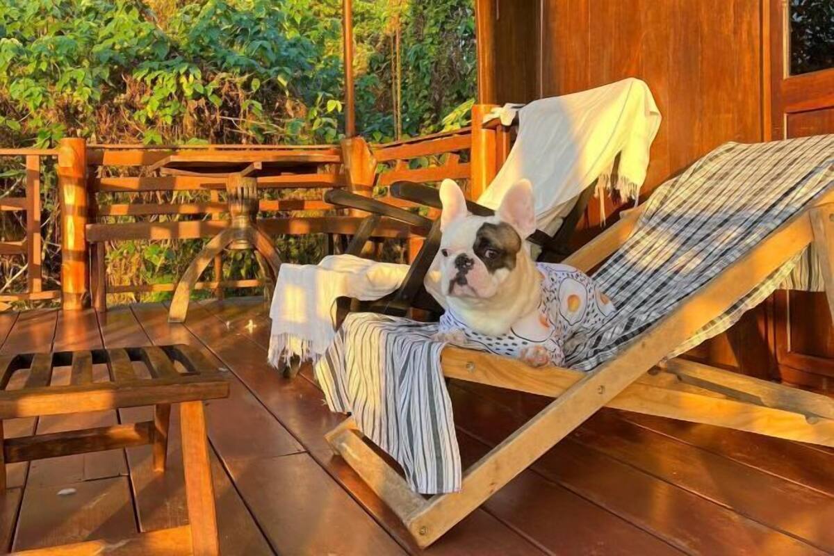 Een houten terras met een ligstoel en een bijzettafeltje.