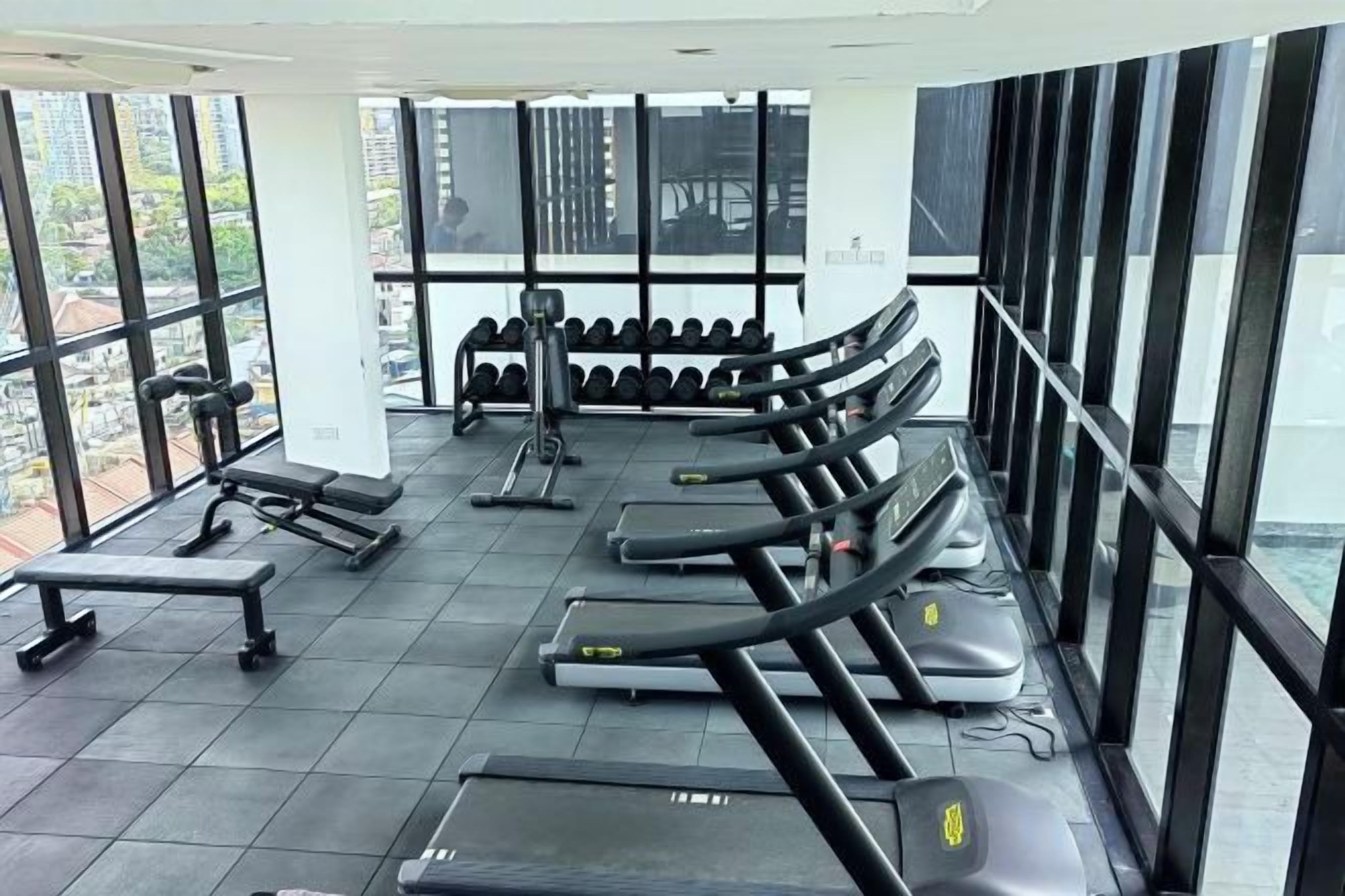 A gym with treadmills, dumbbells, and benches arranged in rows.