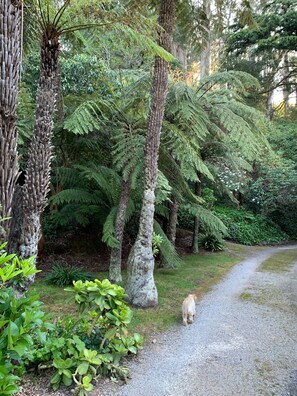 Terrain de l’hébergement 