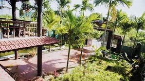 Un espacio al aire libre cubierto con una terraza de madera, palmeras y diversas plantas.