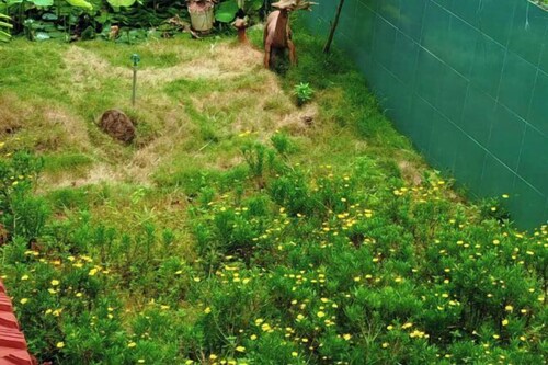 Homestay Pleiku City