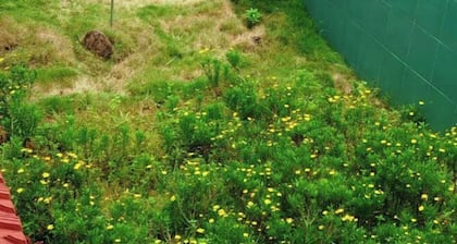 Homestay Pleiku City