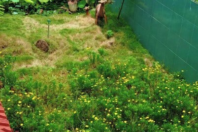 Homestay Pleiku City