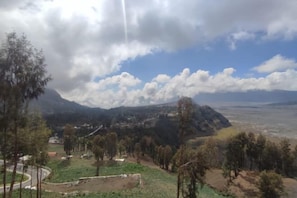 Miscellaneous - Tengger Indah Bromo Villa (Sukapura)