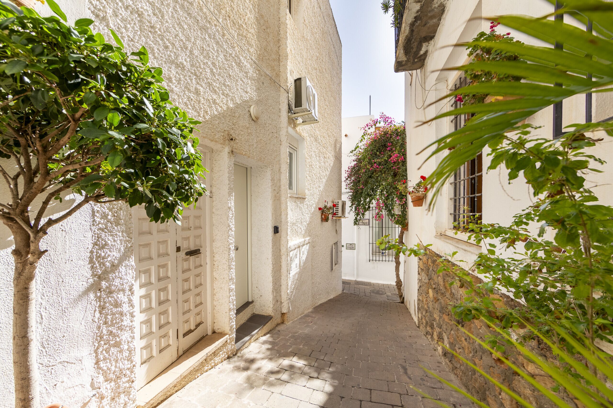 Detalle del exterior