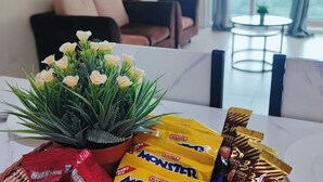 A living room with a sofa, a coffee table, and a potted plant with white flowers. - Comfy Homestay River View Kuching 4 pax (Kuching)
