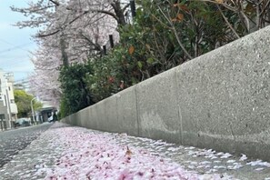 Unclassified image, 2 of 22, button - Peace House｜4 Bedrooms, 5 Bathrooms, 5 Toilets, Parking & Terrace (Osaka)