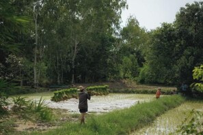 Une personne transportant un fagot de plantes à travers un champ inondé, avec une forêt dense en arrière-plan.