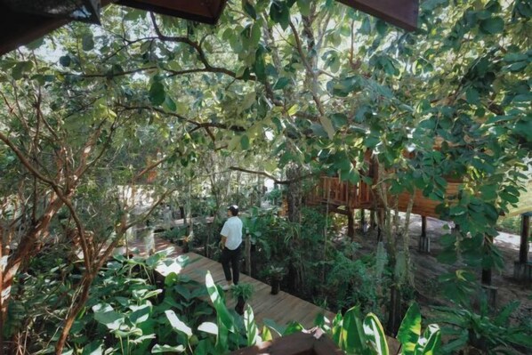 Exterior - Suan Kaew Khampaeng (Udon Thani)