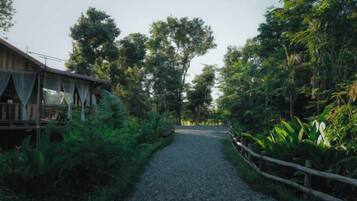 A gravel path leading to a wooden structure surrounded by lush greenery.