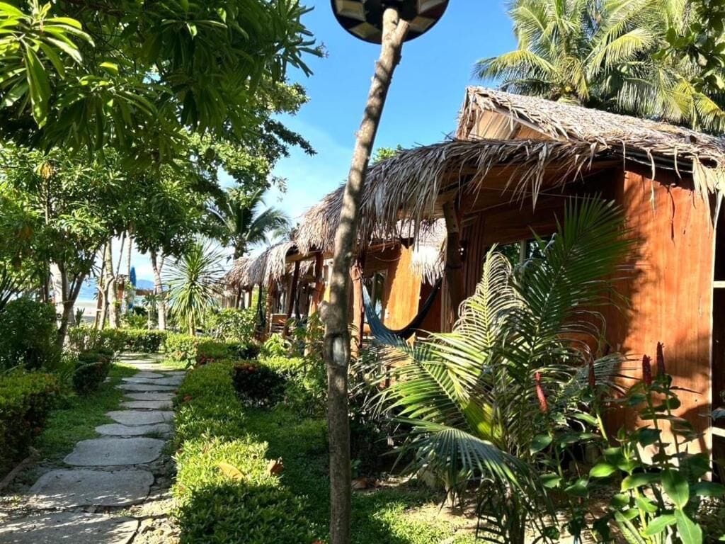 Un sendero conduce a una estructura de techo de paja rodeada de exuberante vegetación y palmeras.