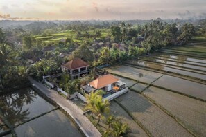 Unclassified image, 3 of 20, button - Dijero at Umah Bali (Bali)